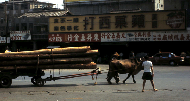 Logs being transported through Chiayi in 1972