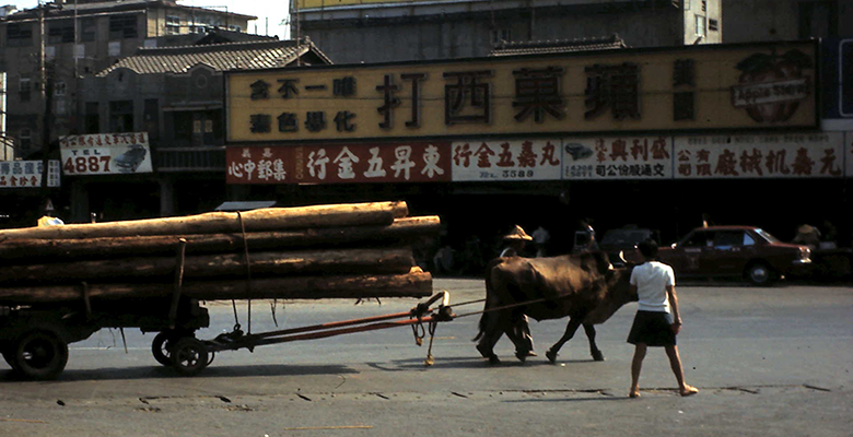 Logs being transported through Chiayi in 1972
